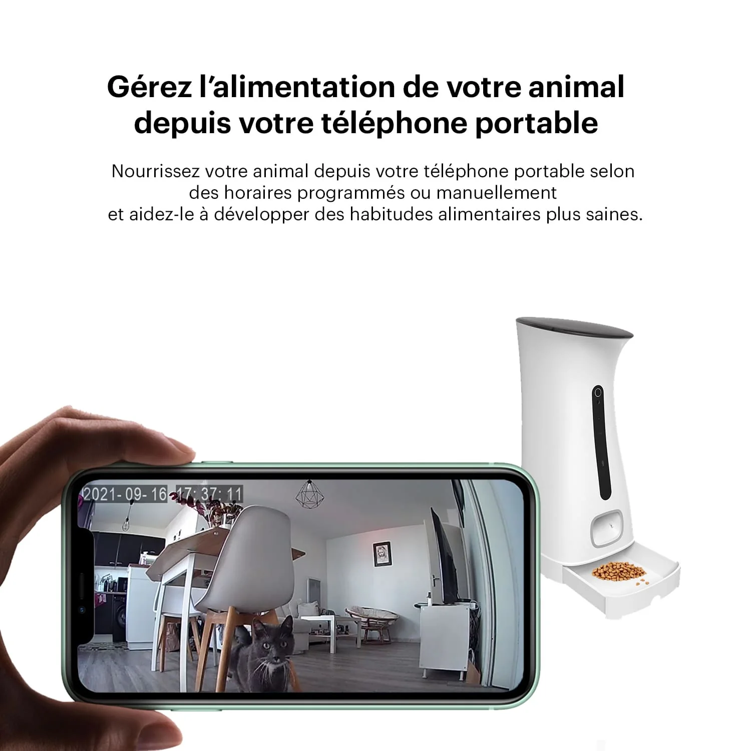 Distributeur de croquettes connecté avec caméra DAEWOO Nutrivision - Image 3