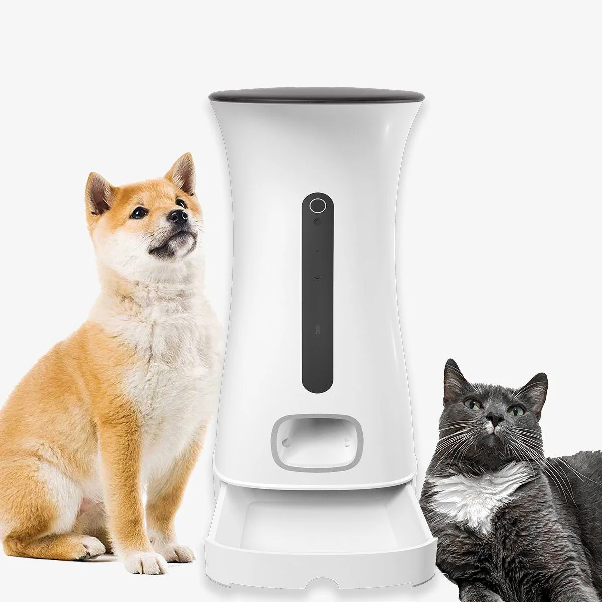 Distributeur de croquettes connecté avec caméra DAEWOO Nutrivision - Image 8